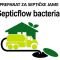 PREPARAT ZA SEPTIČKE JAME - SEPTICFLOW BACTERIAL